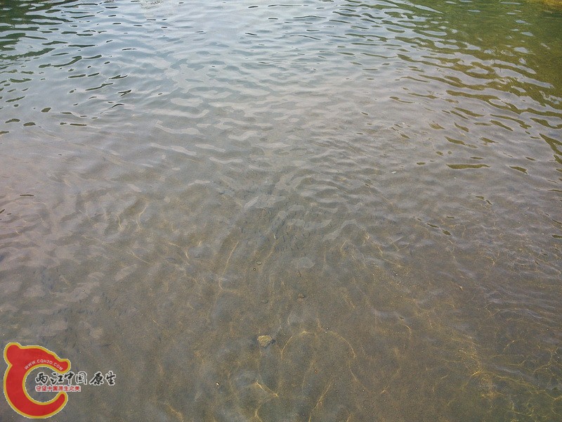 DSC_1103_调整大小.jpg