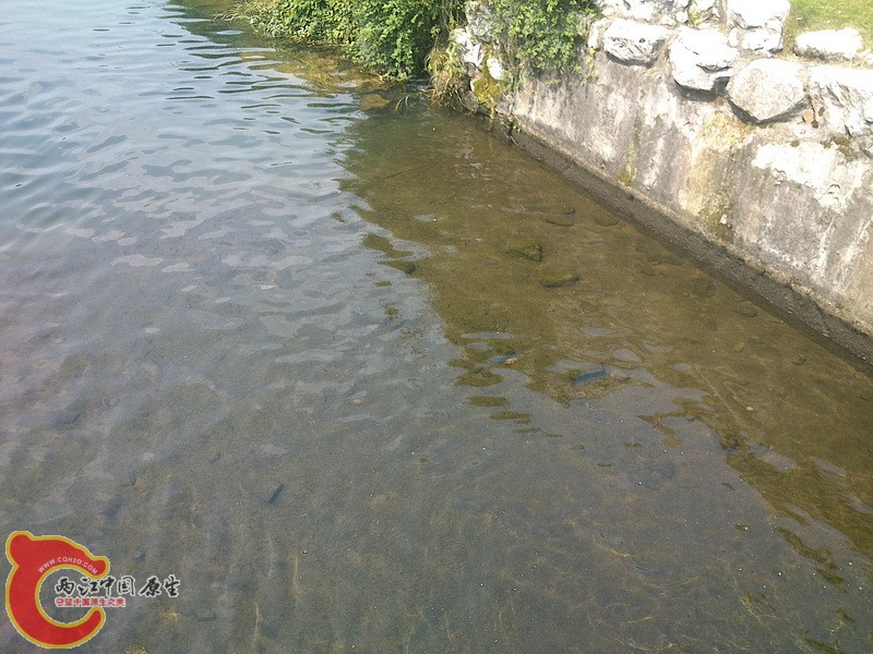 DSC_1104_调整大小.jpg