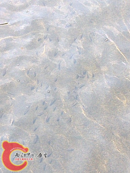 DSC_1106_调整大小.jpg