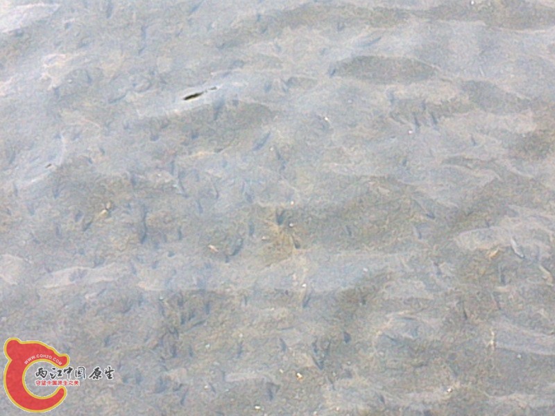 DSC_1105_调整大小.jpg