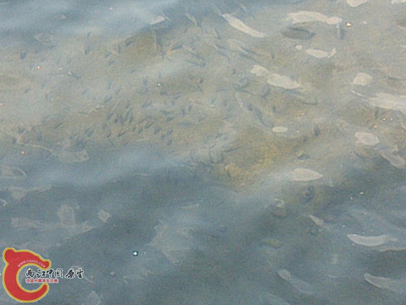 DSC_1107_调整大小.jpg