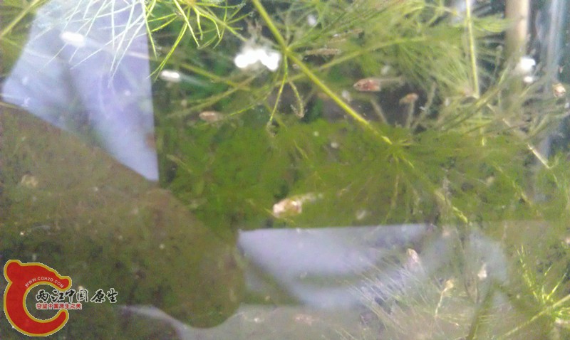 IMAG0880_副本.jpg