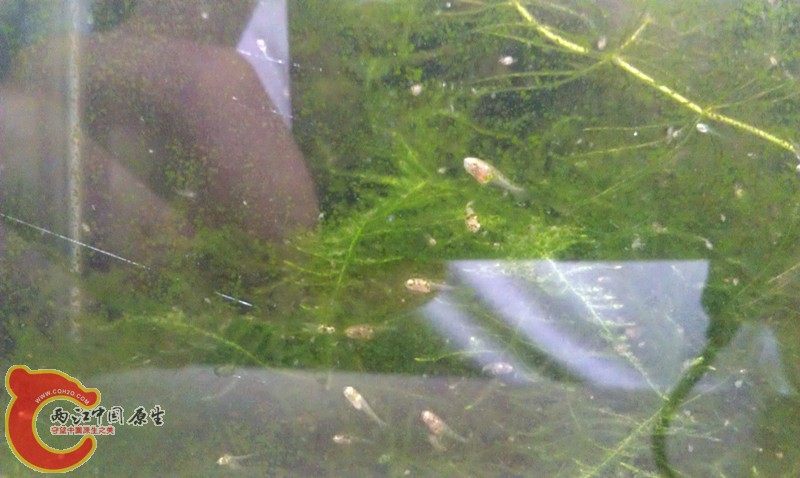 IMAG0882_副本.jpg