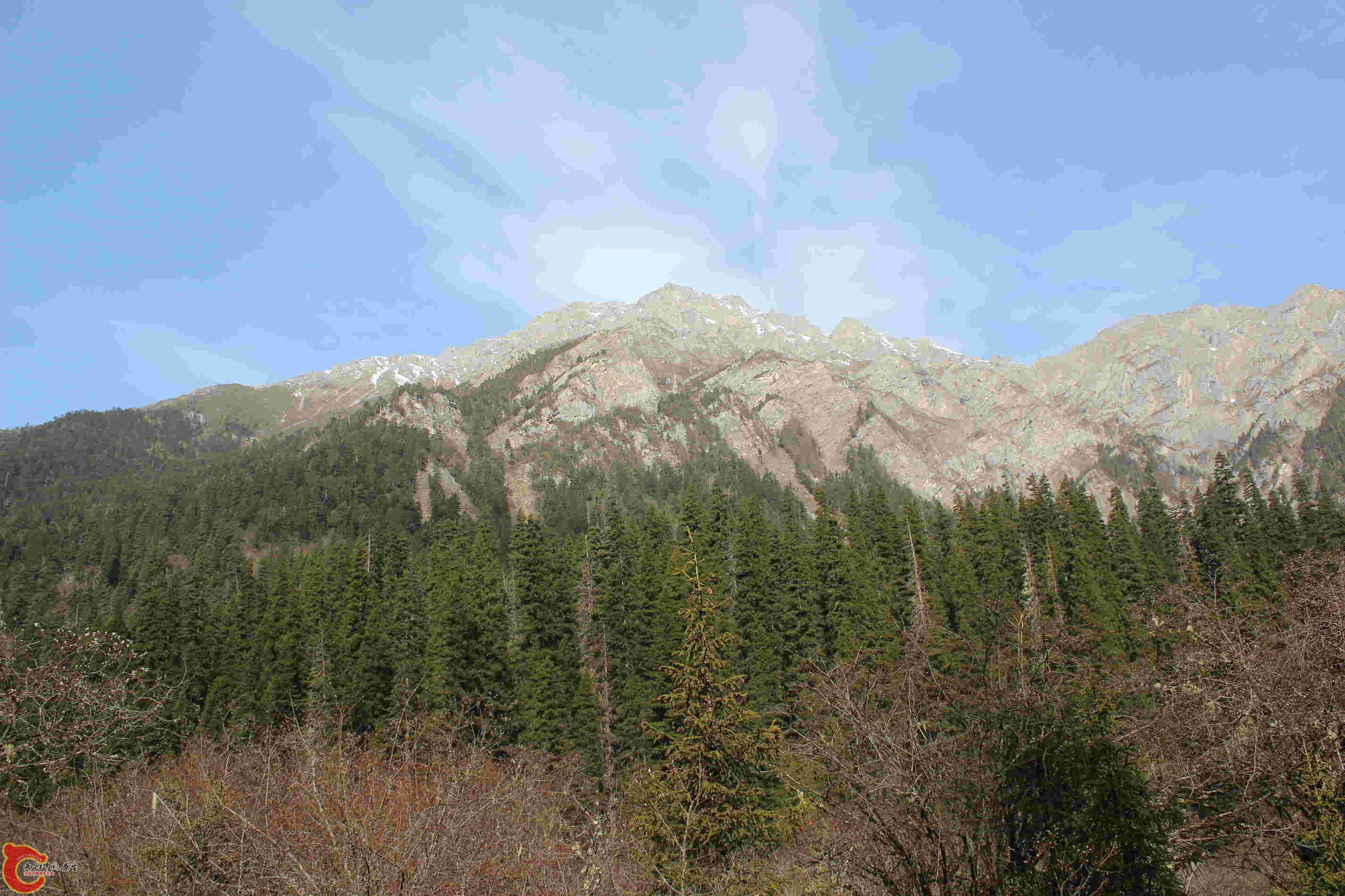 IMG_9384.JPG