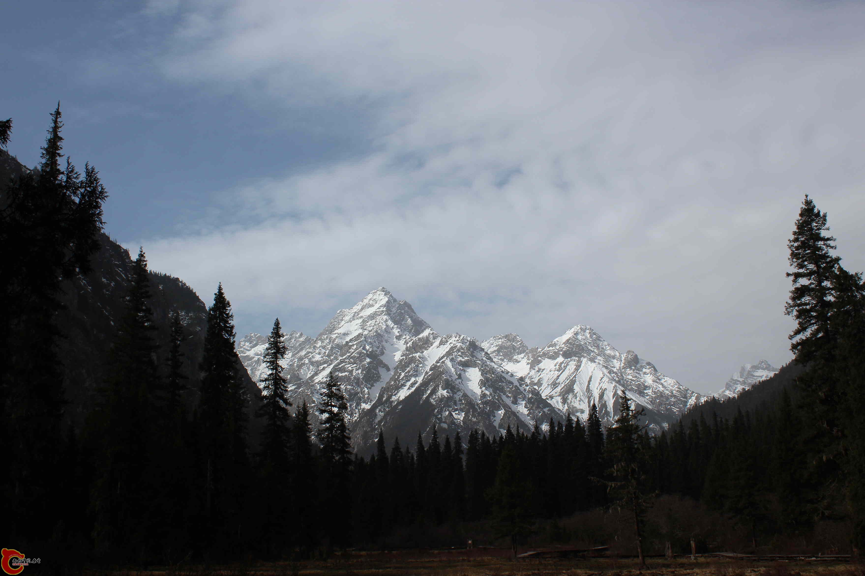 IMG_9387.JPG