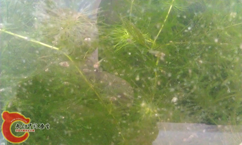 IMAG0892_副本.jpg