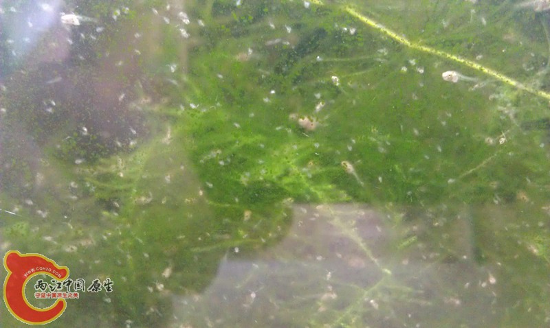 IMAG0886_副本.jpg