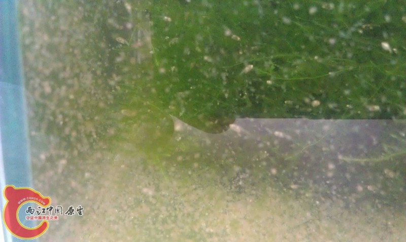 IMAG0888_副本.jpg