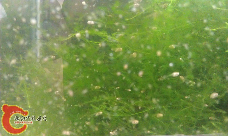 IMAG0889_副本.jpg