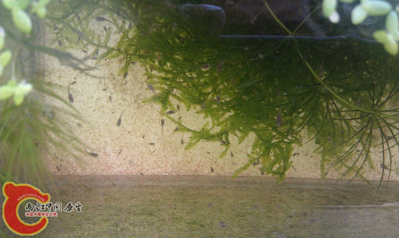 IMAG0890_副本.jpg