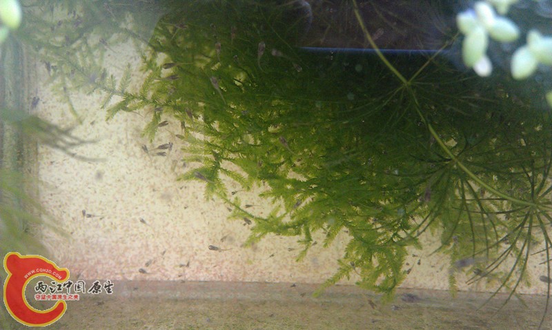 IMAG0891_副本.jpg