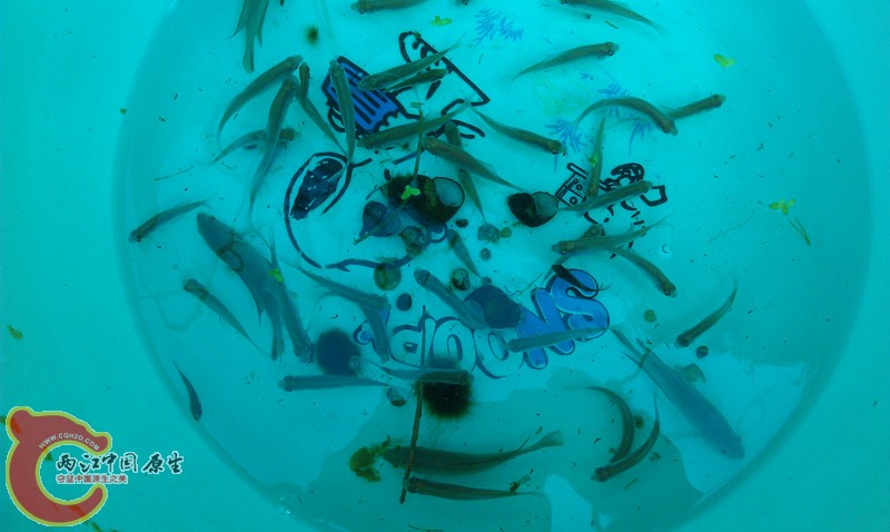 IMAG0908_副本.jpg