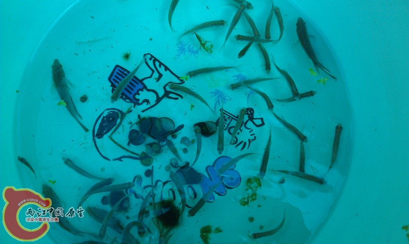 IMAG0909_副本.jpg