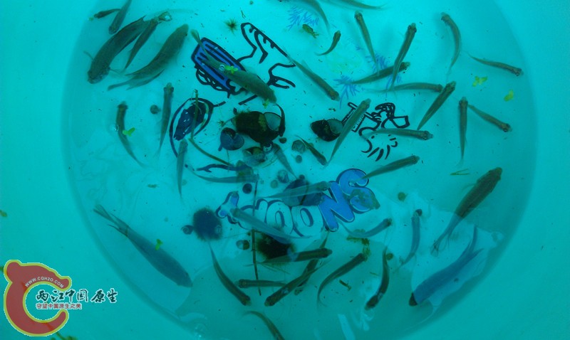 IMAG0910_副本.jpg