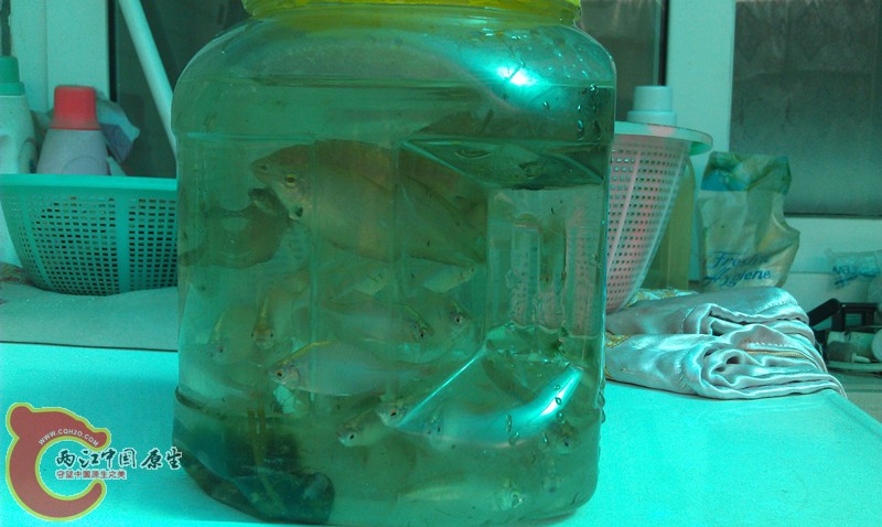 IMAG0911_副本.jpg