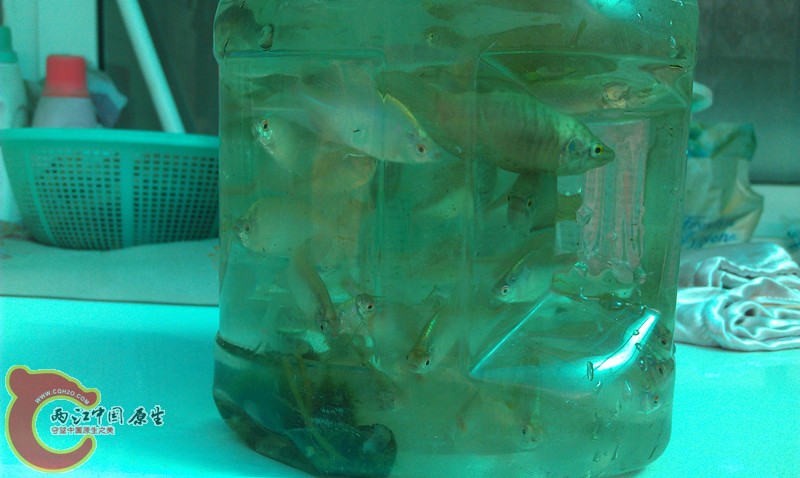 IMAG0912_副本.jpg