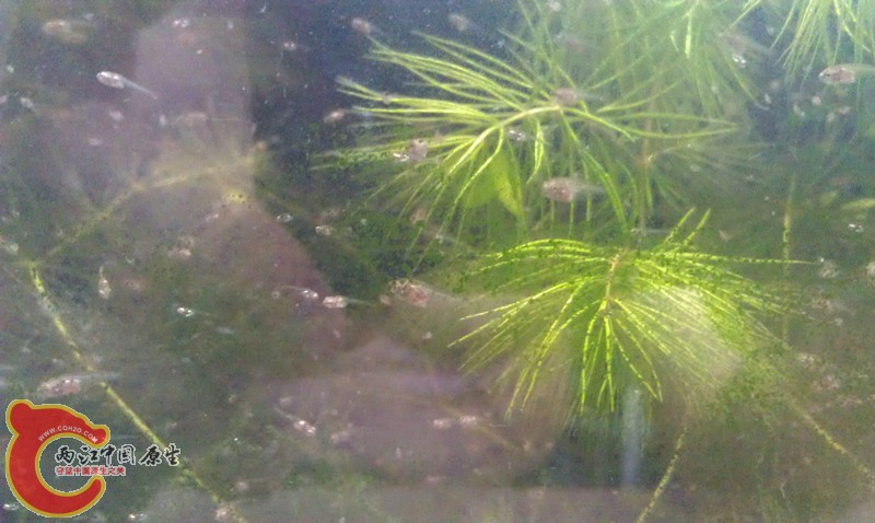 IMAG0923_副本.jpg