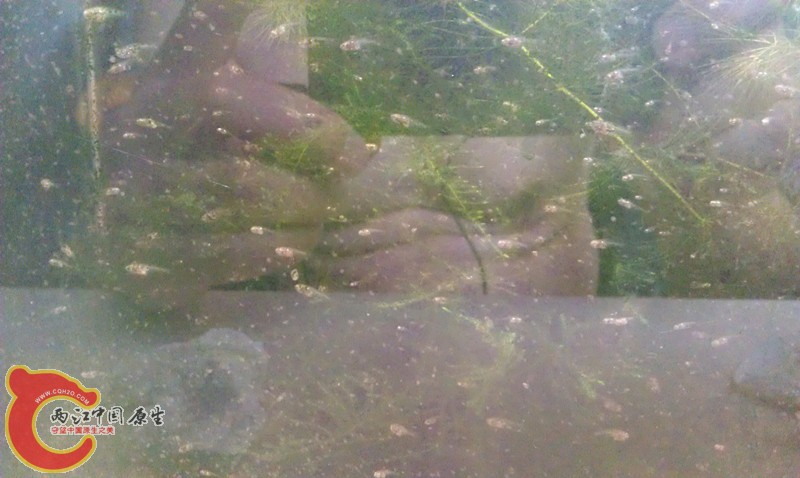 IMAG0920_副本.jpg