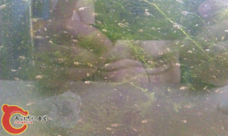 IMAG0921_副本.jpg