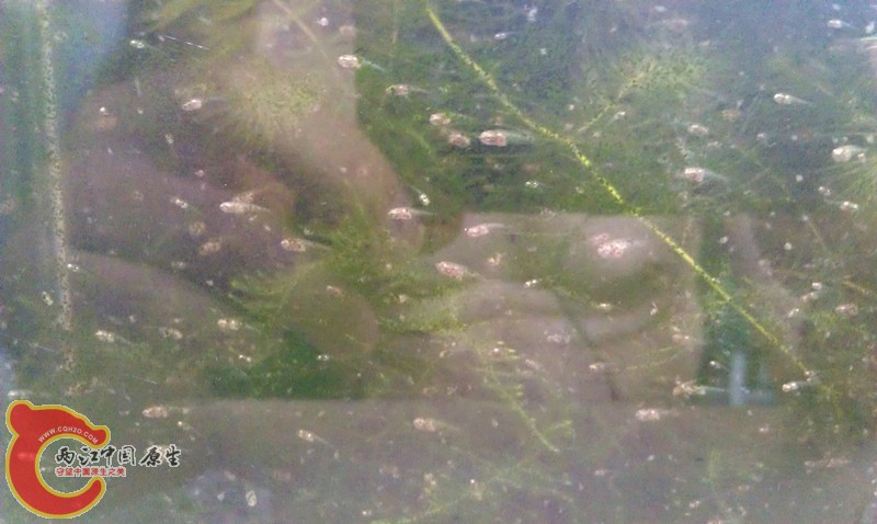 IMAG0922_副本.jpg