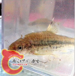 QQ图片20130525200308.jpg