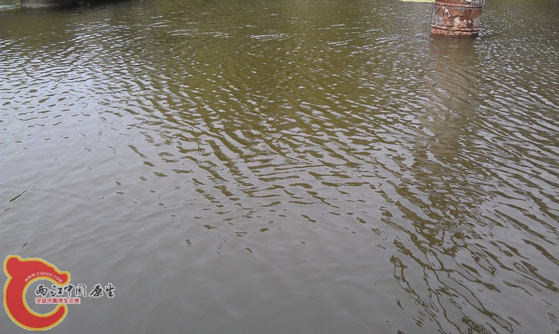 IMAG0919_副本.jpg