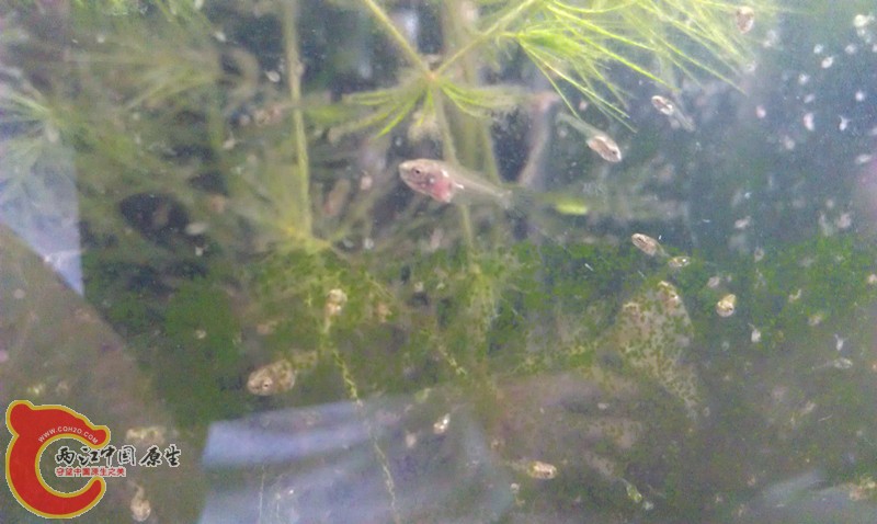 IMAG0924_副本.jpg