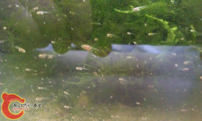 IMAG0926_副本.jpg