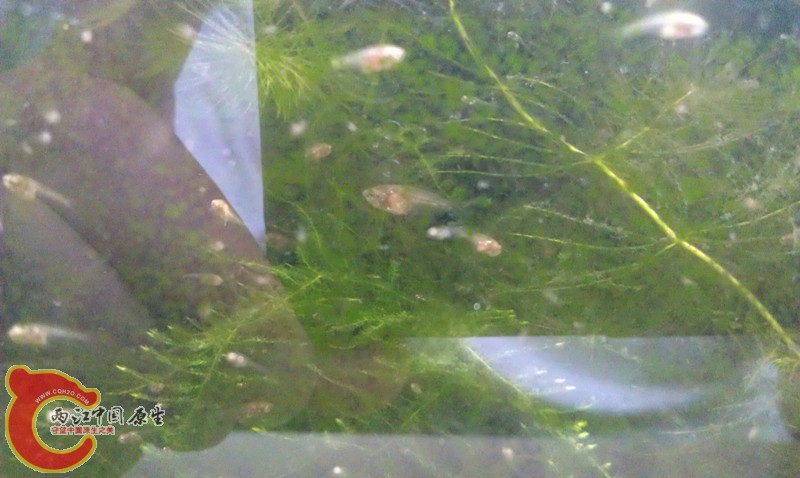 IMAG0928_副本.jpg