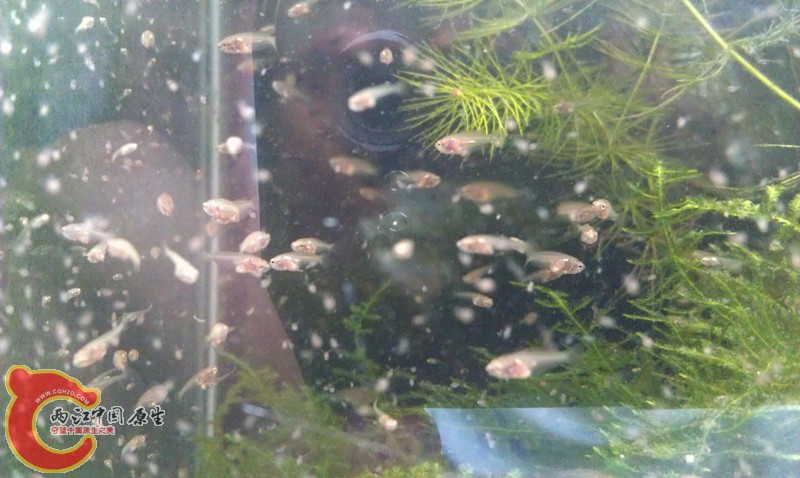 IMAG0947_副本.jpg