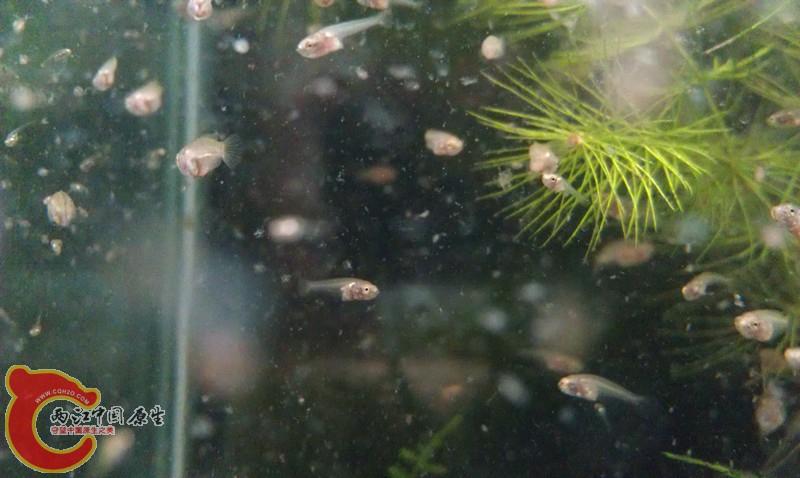 IMAG0948_副本.jpg