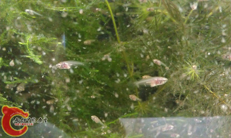 IMAG0951_副本.jpg