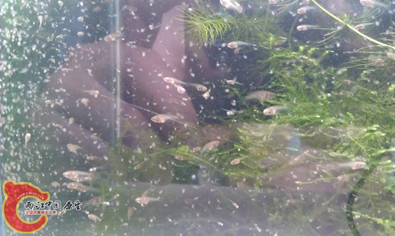 IMAG0955_副本.jpg