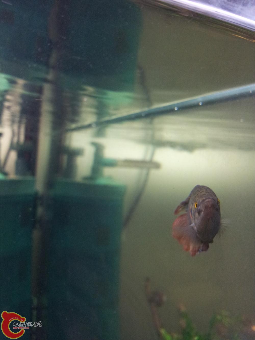 20130526_223629.jpg