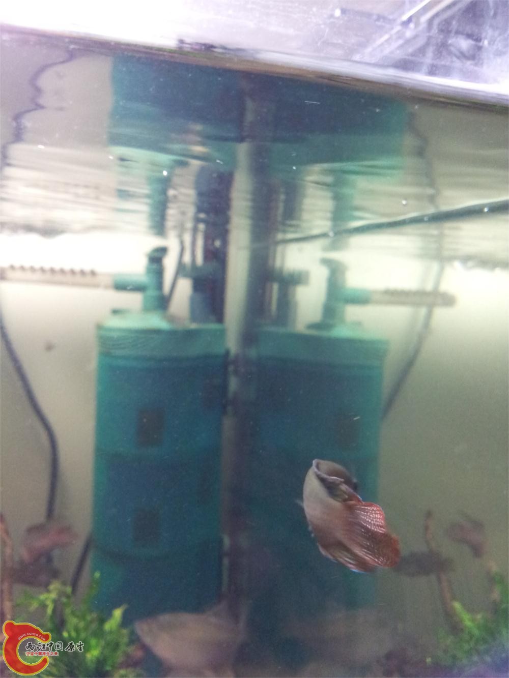 20130526_223641.jpg