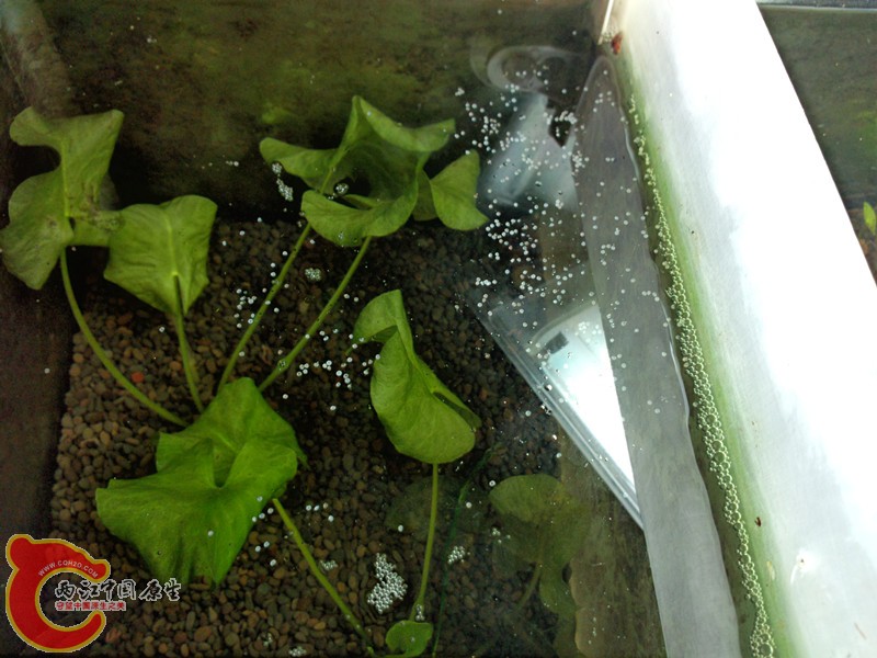p30522-002138_副本.jpg