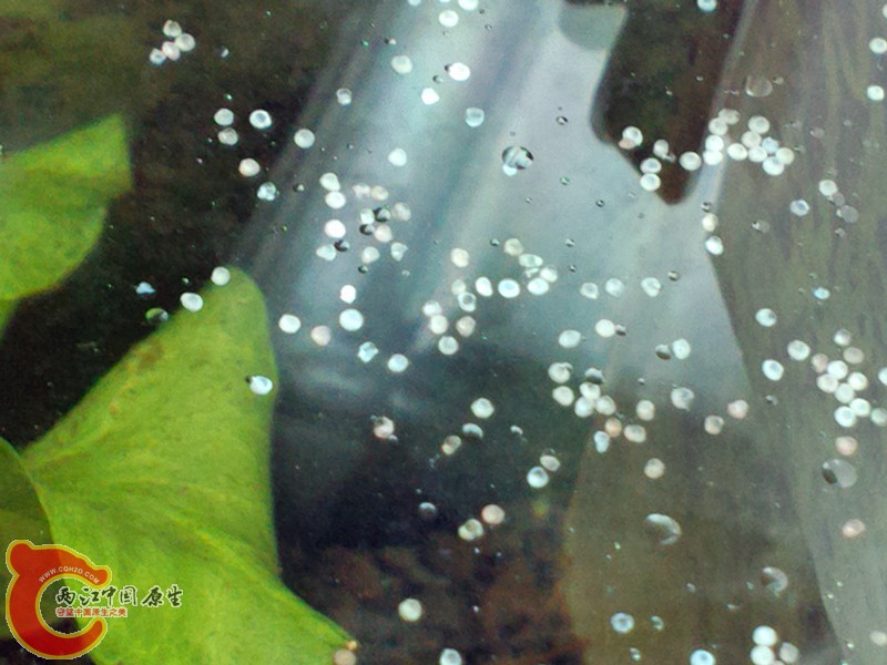 P30522-002152_副本.jpg