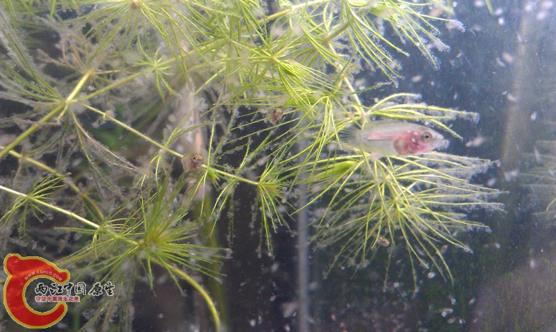 IMAG0972_副本.jpg