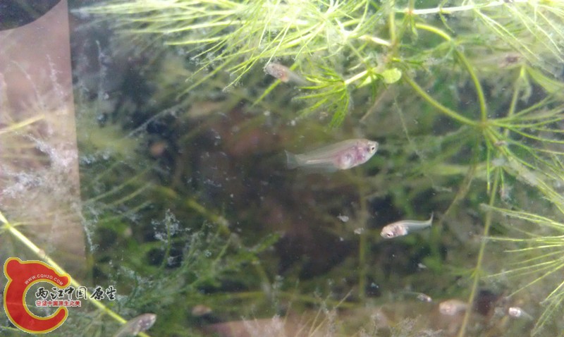 IMAG0974_副本.jpg