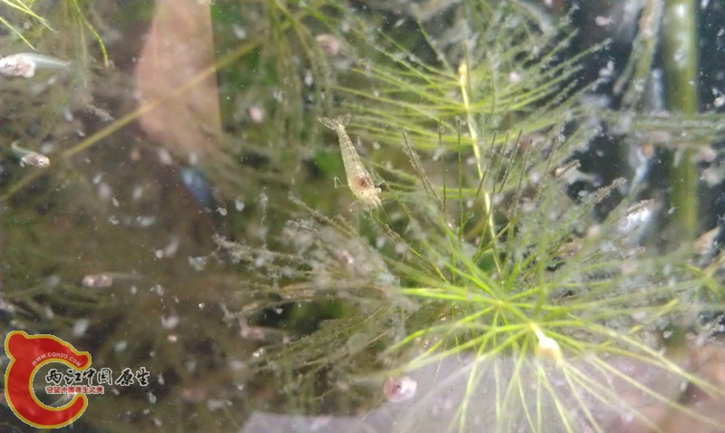 IMAG0963_副本.jpg