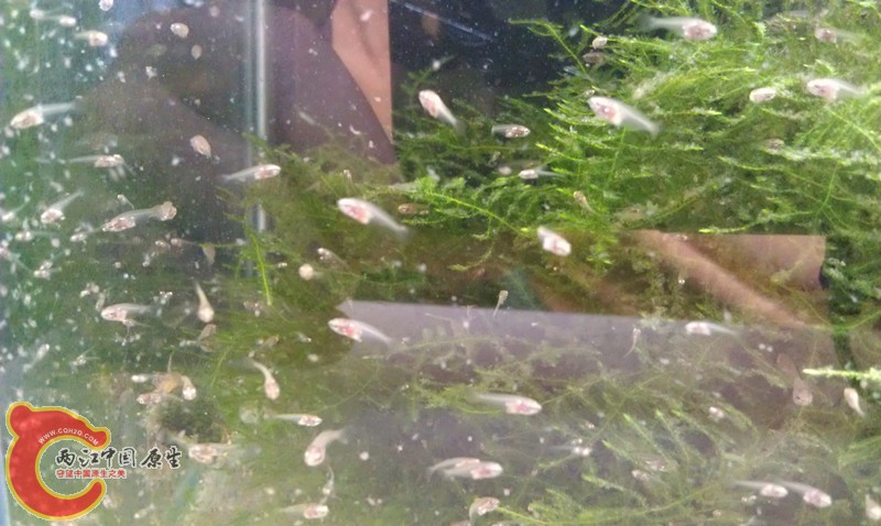 IMAG0965_副本.jpg