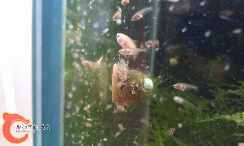 IMAG0969_副本.jpg