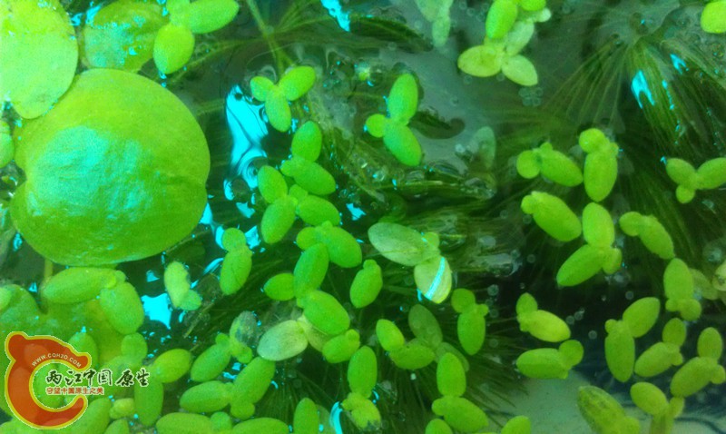 IMAG0975_副本.jpg
