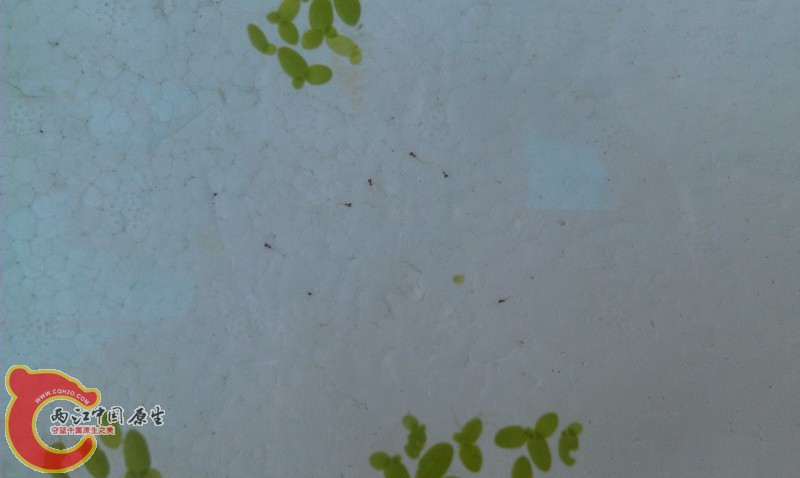 IMAG0977_副本.jpg