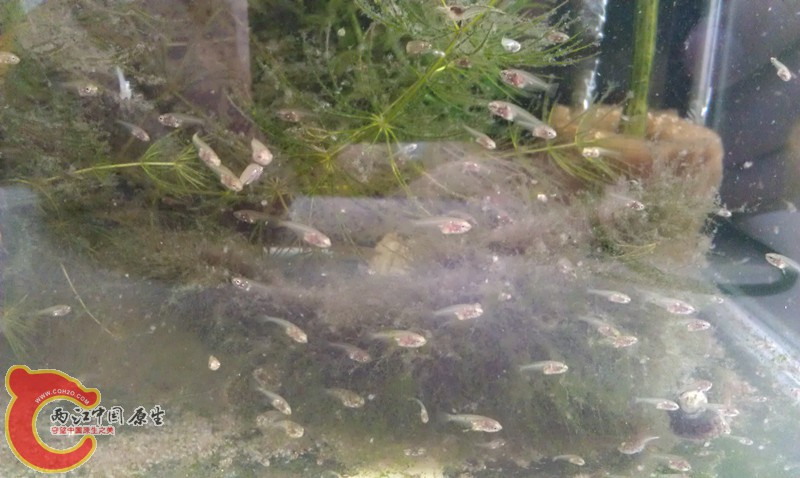 IMAG0981_副本.jpg