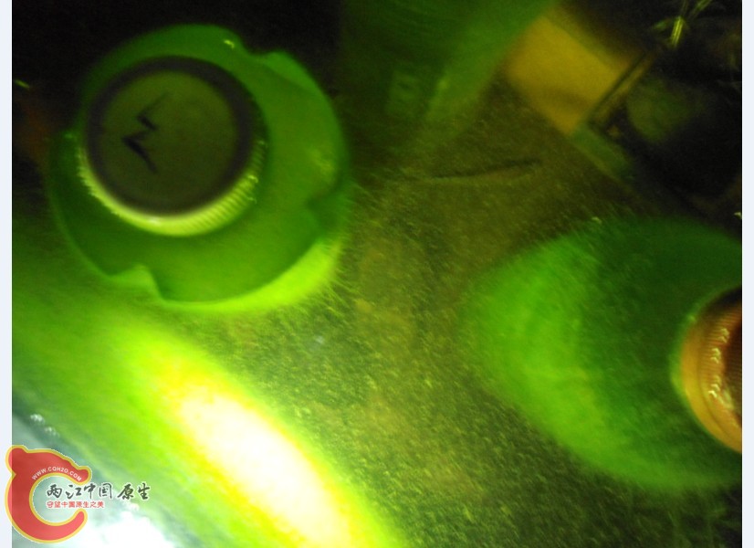 EDV)%OIAS$E4@4Z$U]@2F~Q.jpg