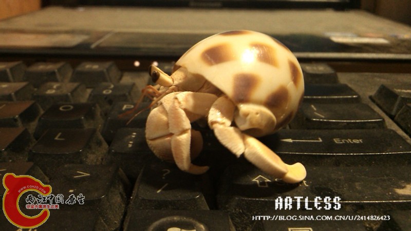 IMG_20130503_221915_副本.jpg
