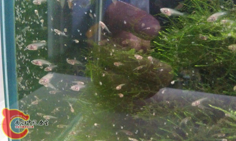 IMAG0993_副本.jpg