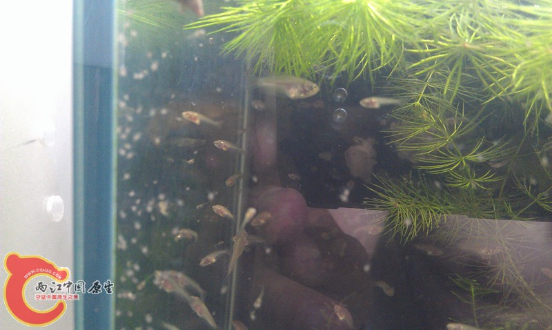 IMAG0996_副本.jpg