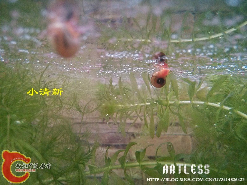 IMG_20130531_192213_副本.jpg